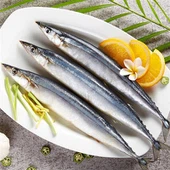 Külmutatud Vaikse ookeani saury