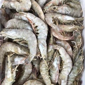 Külmutatud Vannamei krevetid